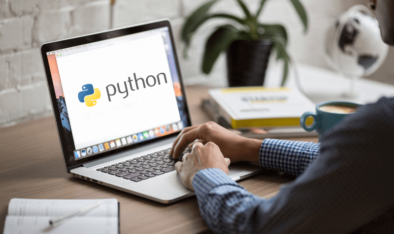 Person looking at python inscription on laptop screen