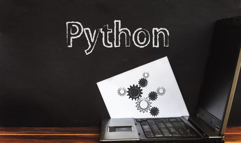 Programming language Python 